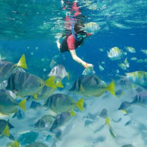 Cabo Pulmo Snorkeling Expedition