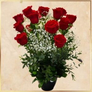 1 Dozen Roses with Vase