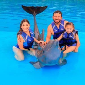 Dolphin Family Encounter