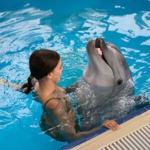 Dolphin Premium Swim