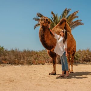 Magical Todos Santos & Camel Ranch