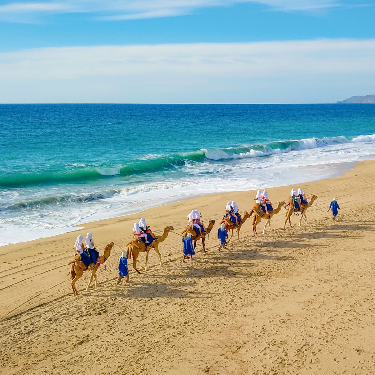 Outback & Camel Safari