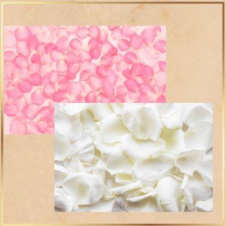 Wite or Pink Petals