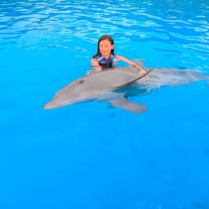 Dolphin Signature Swim